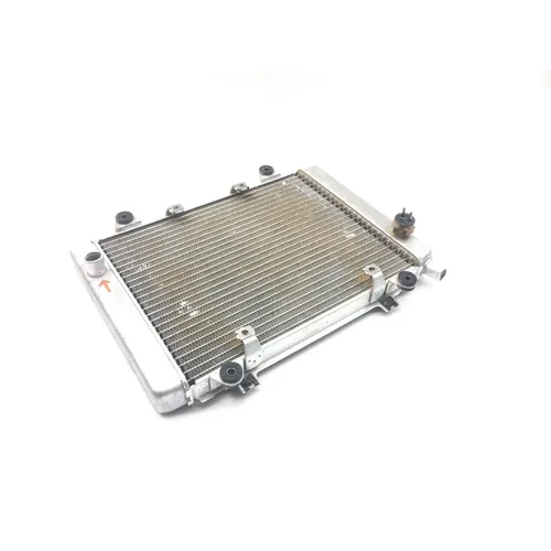 Engine Radiator Cooling 2005 Kawasaki Brute Force 650 KVF650E 4x4 2308 x 10