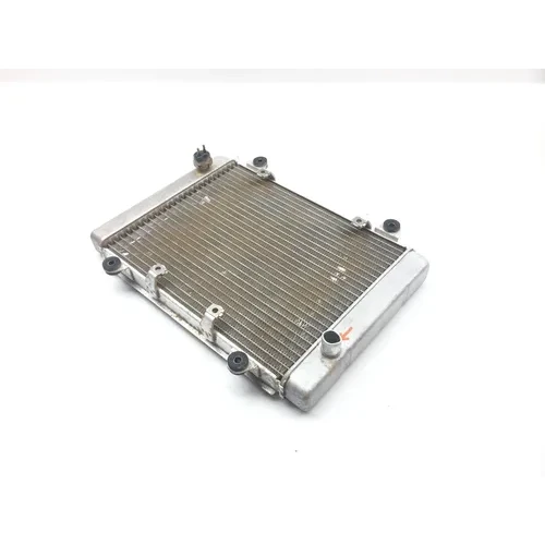 Engine Radiator Cooling 2005 Kawasaki Brute Force 650 KVF650E 4x4 2308 x 8