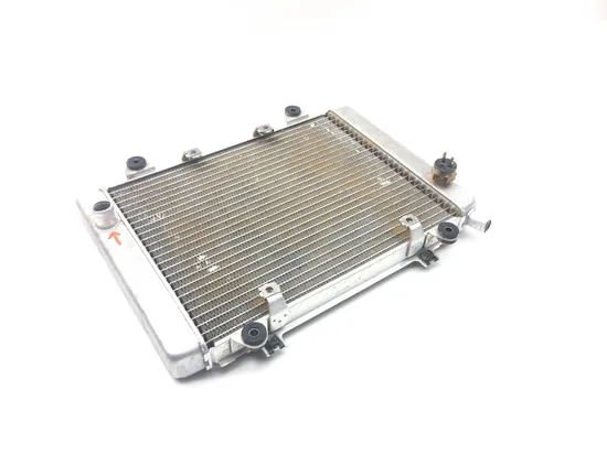 Engine Radiator Cooling 2005 Kawasaki Brute Force 650 KVF650E 4x4 2308 x