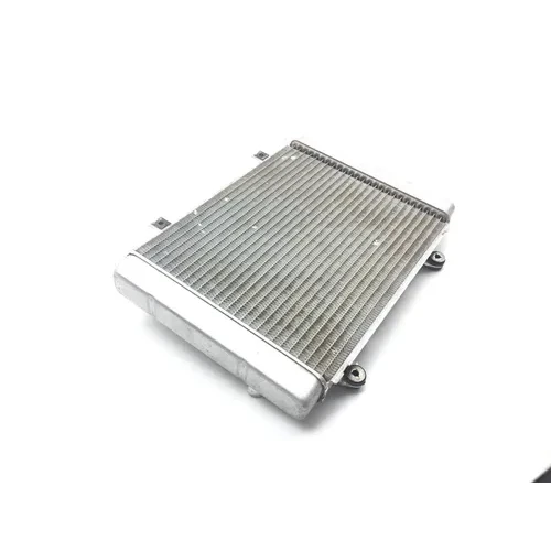 Engine Radiator Cooling 2005 Kawasaki Brute Force 650 KVF650E 4x4 2308 x 2