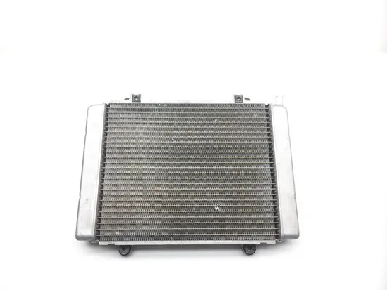 Engine Radiator Cooling 2005 Kawasaki Brute Force 650 KVF650E 4x4 2308 x