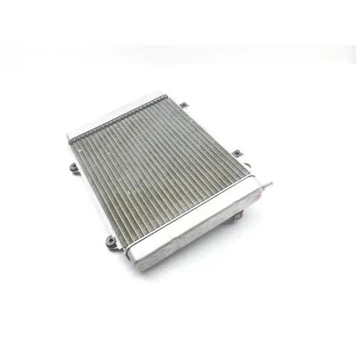 Engine Radiator Cooling 2005 Kawasaki Brute Force 650 KVF650E 4x4 2308 x 3