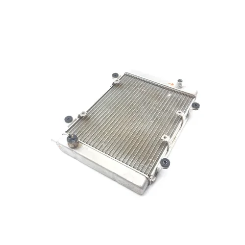 Engine Radiator Cooling 2005 Kawasaki Brute Force 650 KVF650E 4x4 2308 x 11