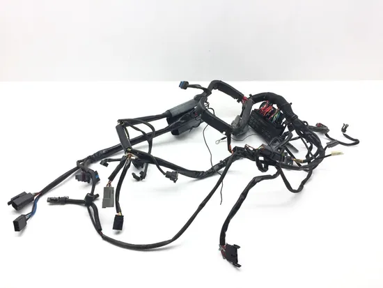 Main Engine Wiring Harness 04 Harley Heritage Softail Classic EFI FLSTCI 2327 x