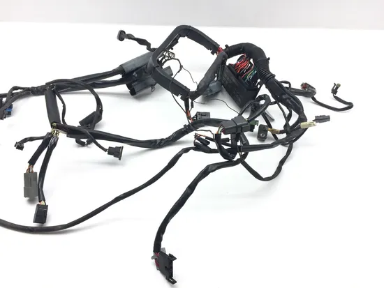 Main Engine Wiring Harness 04 Harley Heritage Softail Classic EFI FLSTCI 2327 x