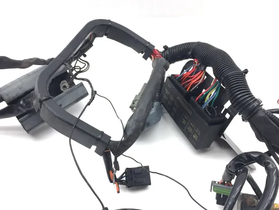 Main Engine Wiring Harness 04 Harley Heritage Softail Classic EFI FLSTCI 2327 x