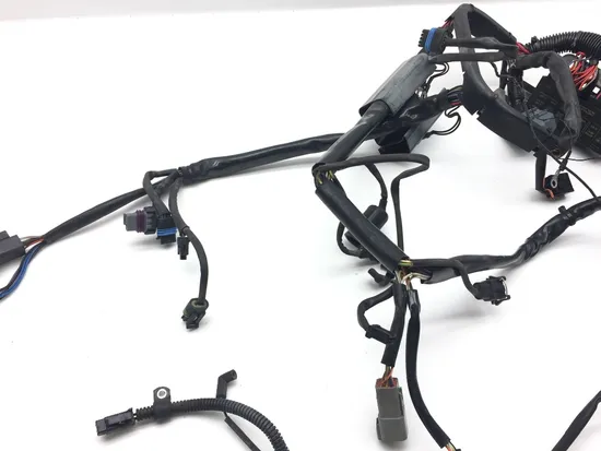 Main Engine Wiring Harness 04 Harley Heritage Softail Classic EFI FLSTCI 2327 x