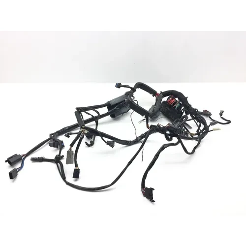 Main Engine Wiring Harness 04 Harley Heritage Softail Classic EFI FLSTCI 2327 x