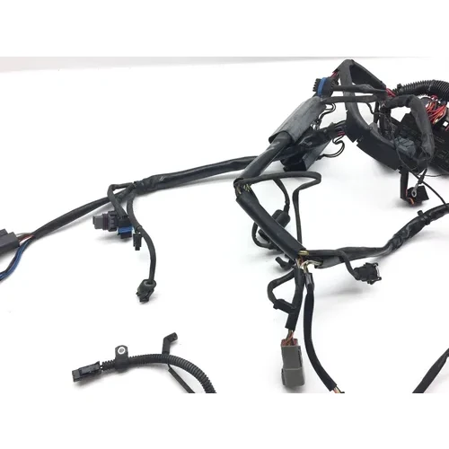 Main Engine Wiring Harness 04 Harley Heritage Softail Classic EFI FLSTCI 2327 x 6
