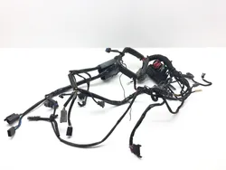 Main Engine Wiring Harness 04 Harley Heritage Softail Classic EFI FLSTCI 2327 x