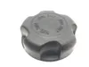 Gas Fuel Tank Cap 2011 Polaris RZR XP 900 2317