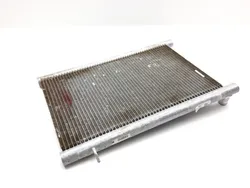 Engine Radiator Cooling 2011 Polaris RZR XP 900 2317