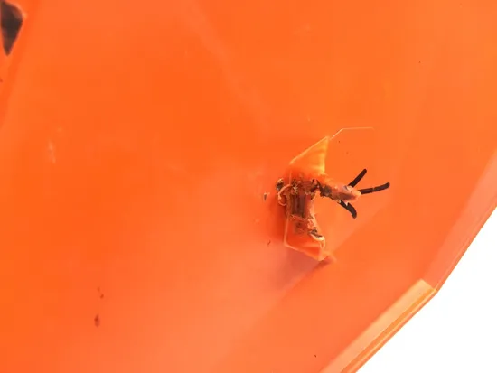 08 KTM 450 525 XC ATV Rear Fender Fenders Plastic 2350A x