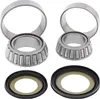 Moose Racing Lower Steering Stem Bearing Kit