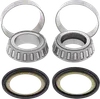 All Balls Steering Head Stem Bearings Kit for Suzuki 250-750