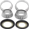 Moose Racing Steering Stem Bearing Kit
