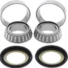 Moose Steering Stem Bearing Kit