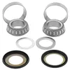 All Balls Steering Head Stem Bearings Kit Honda Minibike 110-125