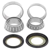 All Balls Steering Head Stem Bearing Kit for Yamaha TTR125 TTR110