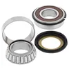 AB Steering Head Stem Bearings Kit Triumph Daytona 600-650 TT600