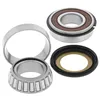 AB Steering Head Stem Bearings Kit Triumph Daytona 600-650 TT600