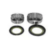 All Balls Steering Head Stem Bearing Kit Kawasaki Ducati 600-1000