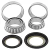 All Balls Steering Head Stem Bearings Kit for Kawasaki KLX110