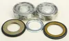 All Balls Steering Head Bearing Seal Kit