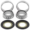 AB Steering Head Stem Bearings Kit for Harley Touring BMW G450X