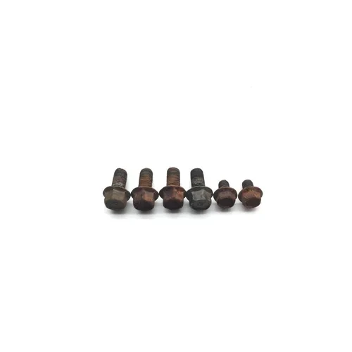 Footpeg Foot Peg Bolts 1997 Yamaha Big Bear 350 YFM350U 2365A 3