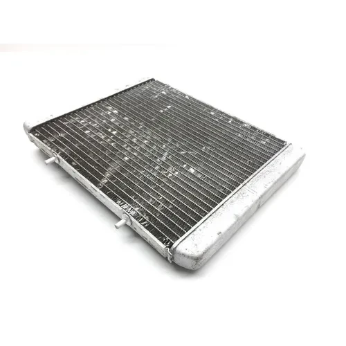Engine Radiator Cooling 2009 Polaris RZR 800 EFI 2379 x 3