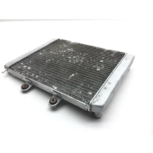 Engine Radiator Cooling 2009 Polaris RZR 800 EFI 2379 x 4