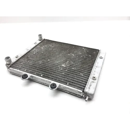 Engine Radiator Cooling 2009 Polaris RZR 800 EFI 2379 x