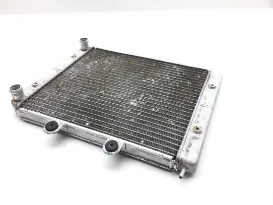 Engine Radiator Cooling 2009 Polaris RZR 800 EFI 2379 x