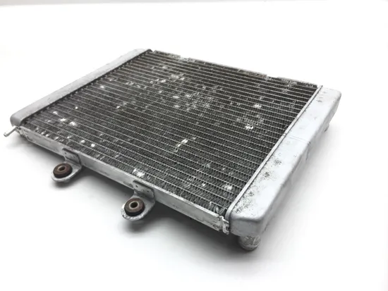 Engine Radiator Cooling 2009 Polaris RZR 800 EFI 2379 x