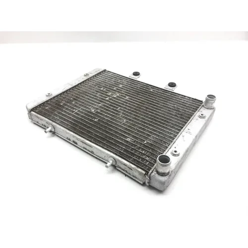 Engine Radiator Cooling 2009 Polaris RZR 800 EFI 2379 x 2