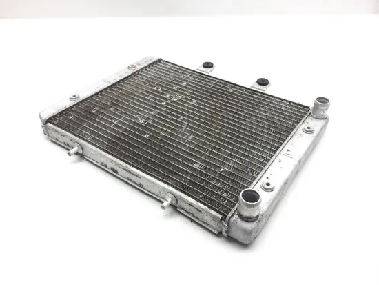 Engine Radiator Cooling 2009 Polaris RZR 800 EFI 2379 x