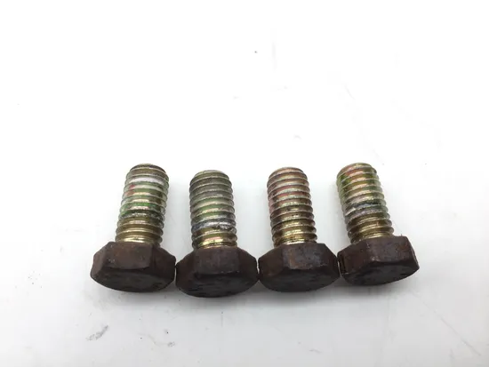 Rear Brake Rotor Bolts 2009 Polaris RZR 800 EFI 2379