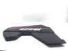 Right Door Panel Cover 2018 Polaris RZR RS1 EPS 2412