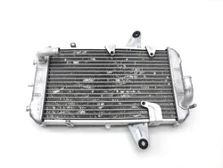 Engine Radiator Cooling 2008 Can-Am DS450 X EFI 2399 x