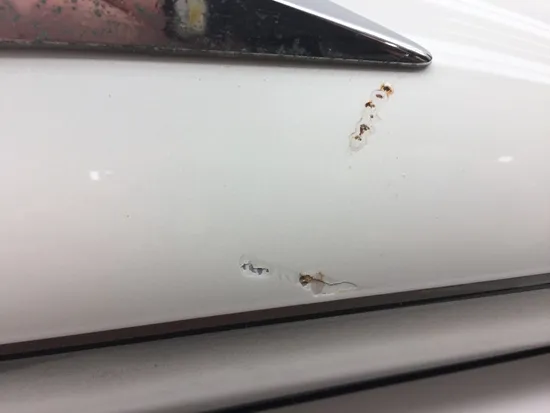 Left Lower Fairing 2004 Suzuki Intruder 1500 VL1500 2391