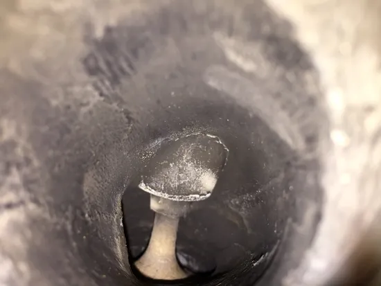 Engine Cylinder Head Complete W Cams Front 1999 Suzuki Intruder 1500 VL1500 2390