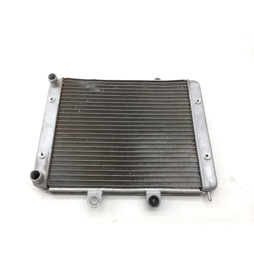 Engine Radiator Cooling 2010 Polaris RZR S 800 EFI 2414 x 1
