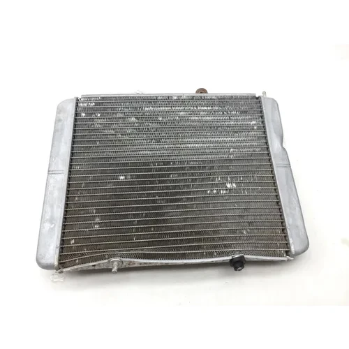 Engine Radiator Cooling 2010 Polaris RZR S 800 EFI 2414 x 3