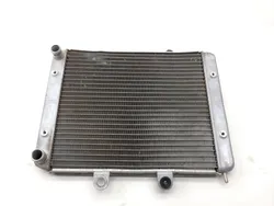 Engine Radiator Cooling 2010 Polaris RZR S 800 EFI 2414 x