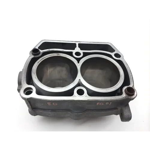 Engine Cylinder Jug 2010 Polaris RZR S 800 EFI 2414 x 2