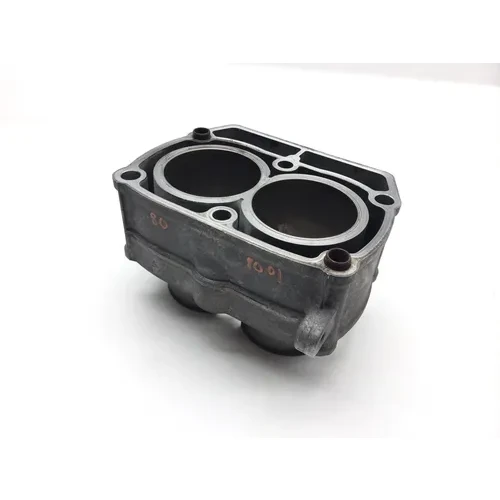 Engine Cylinder Jug 2010 Polaris RZR S 800 EFI 2414 x