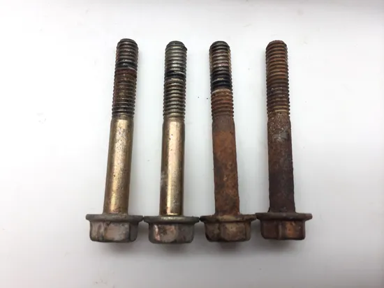 Inner Stator Cover 2010 Polaris RZR S 800 EFI 2414