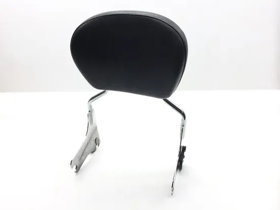 Sissy Bar 2002 Harley-Davidson Electra Glide Police EFI FLHTPI 2366 x