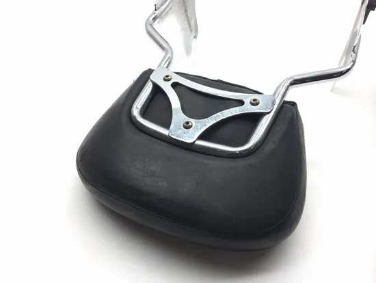 Sissy Bar 2002 Harley-Davidson Electra Glide Police EFI FLHTPI 2366 x